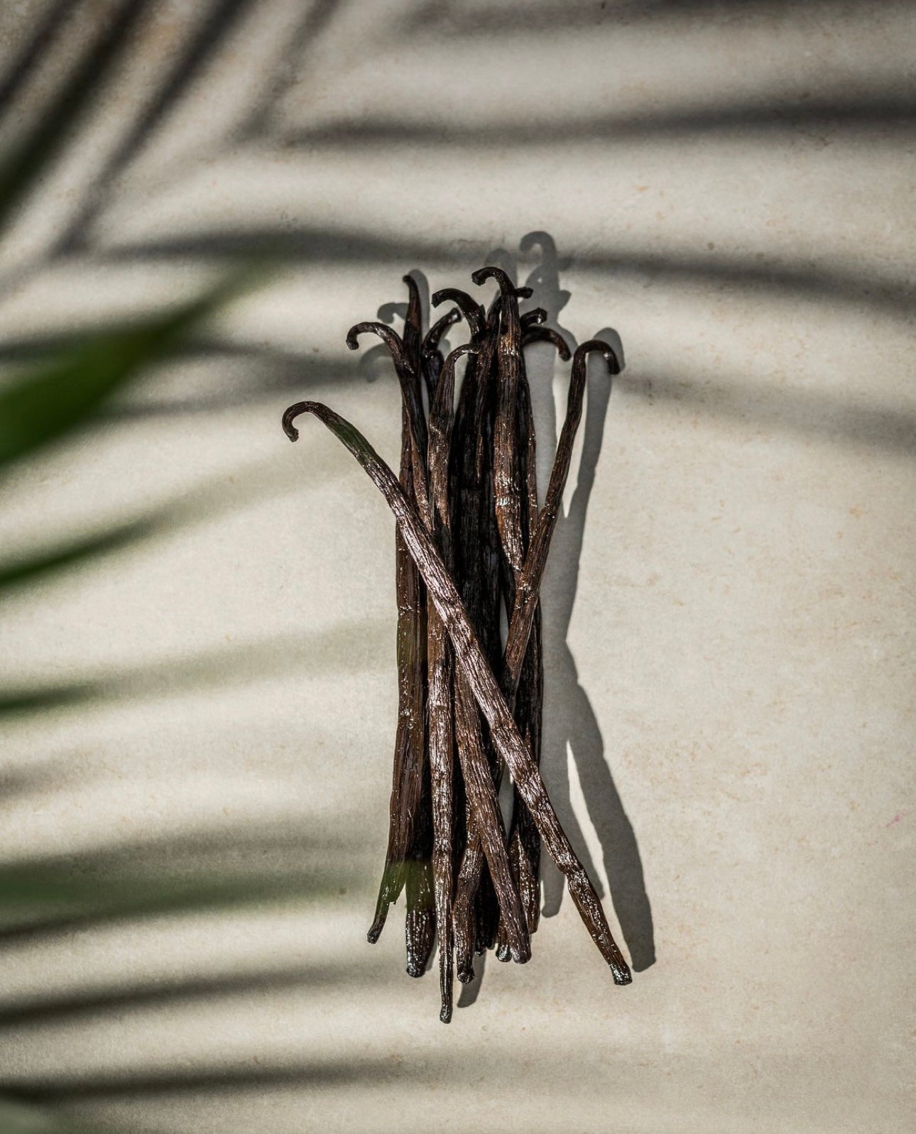 AARON'S BEARD OIL